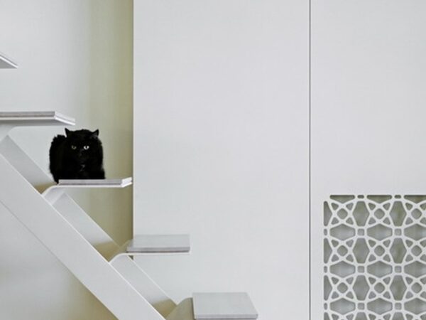 2006 Butas – Studija