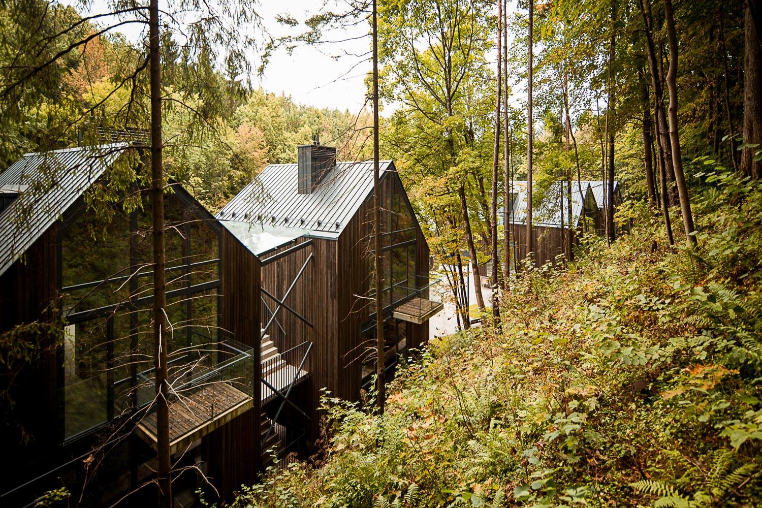 2015 Gyvenamųjų namų kvartalas Pavilnių regioniniame parke - 2