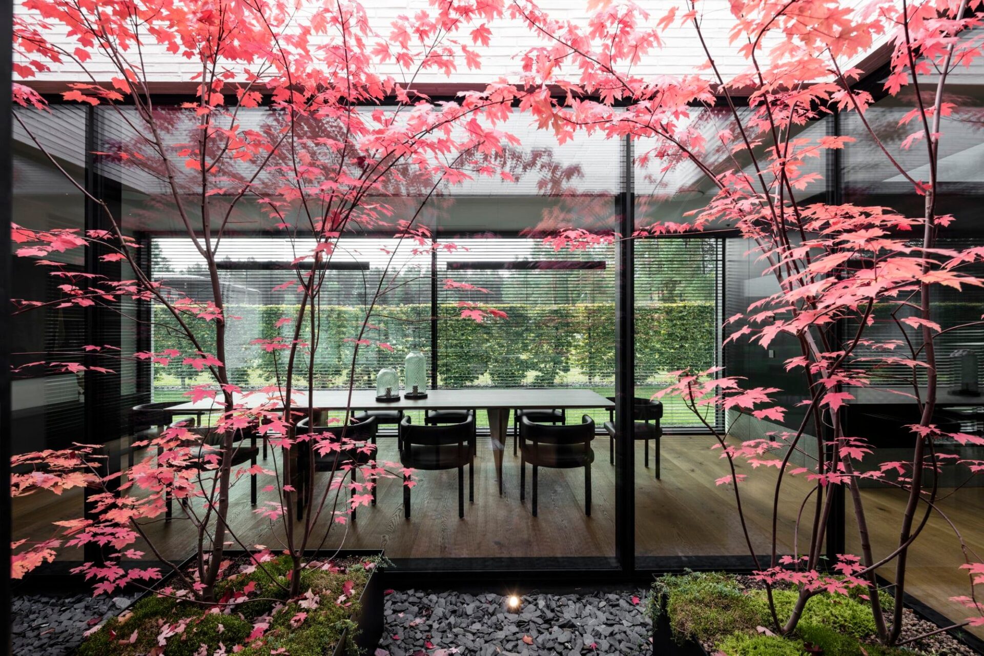 2021 Baltas namas - 14