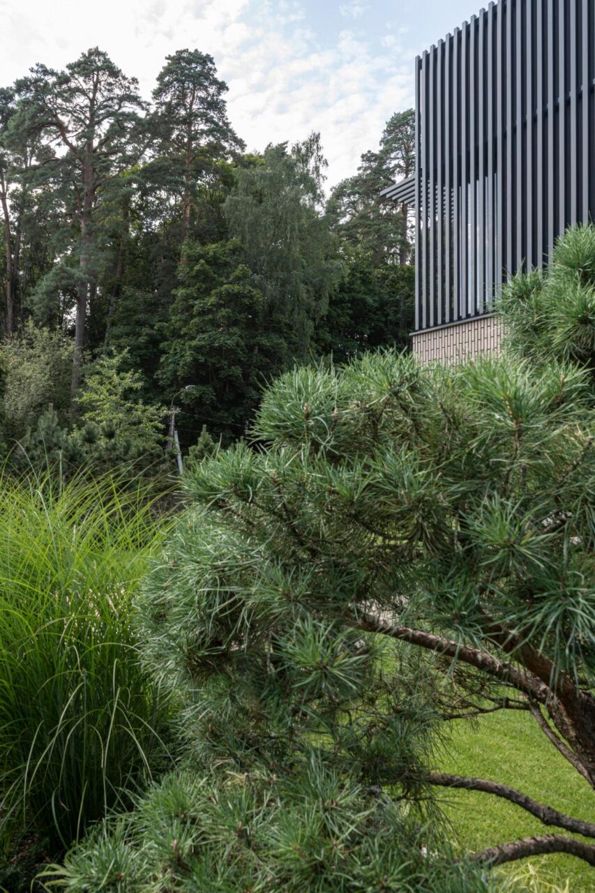 2021 Namas Antakalnyje - 9